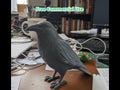 Crow sitting statue gothic decor