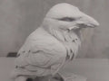 Raven statue perched bird decor