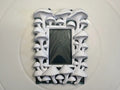 Oyster mushroom frame botanical