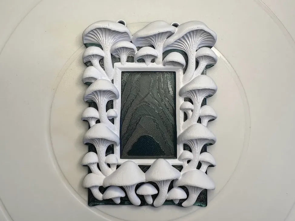 Oyster mushroom frame botanical